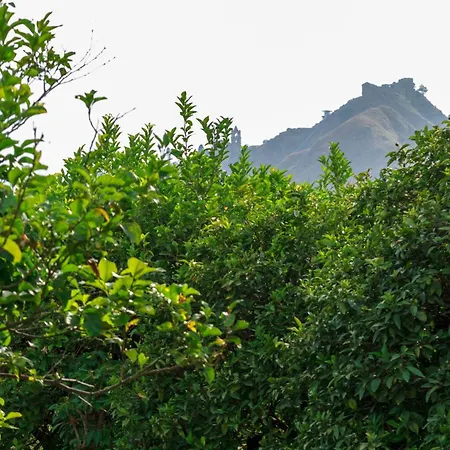 Lumia E Zagara Holiday home Taormina