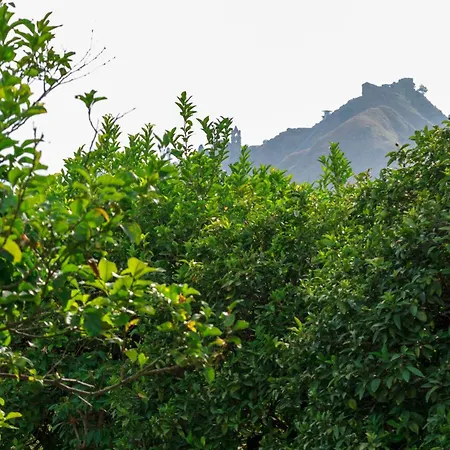 Lumia E Zagara Semesterbostad Taormina